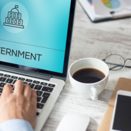 Government Audit