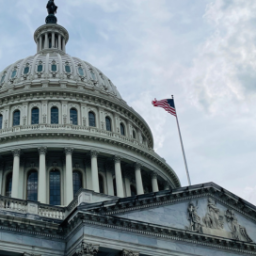 federal single audit